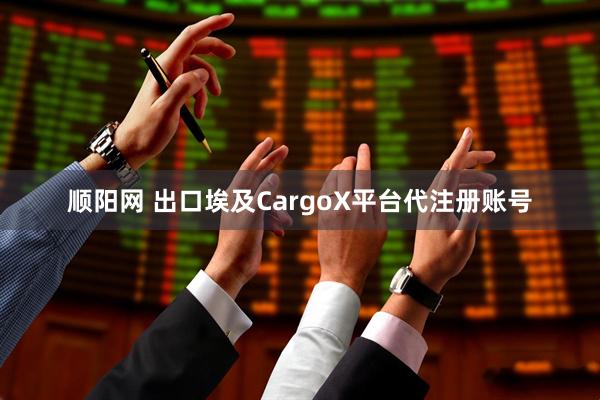 顺阳网 出口埃及CargoX平台代注册账号