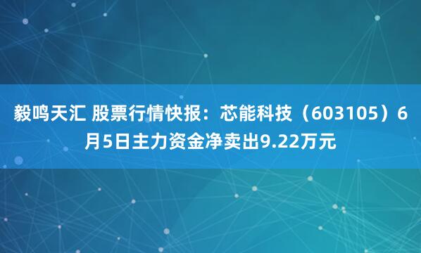 毅鸣天汇 股票行情快报：芯能科技（603105）6月5日主力资金净卖出9.22万元