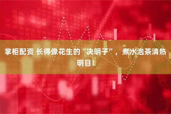 掌柜配资 长得像花生的“决明子”，煮水泡茶清热明目！